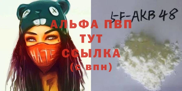 прущие грибы Волосово