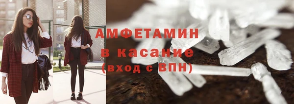 прущие грибы Волосово