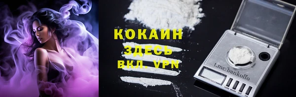 прущие грибы Волосово