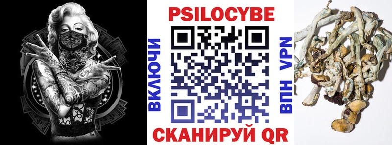 Псилоцибиновые грибы Cubensis  Муравленко 
